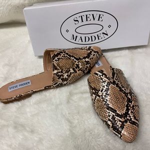 New! Steve Madden Ally-M tan snake slip on mules